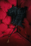 Black Ostrich Feather Teaser