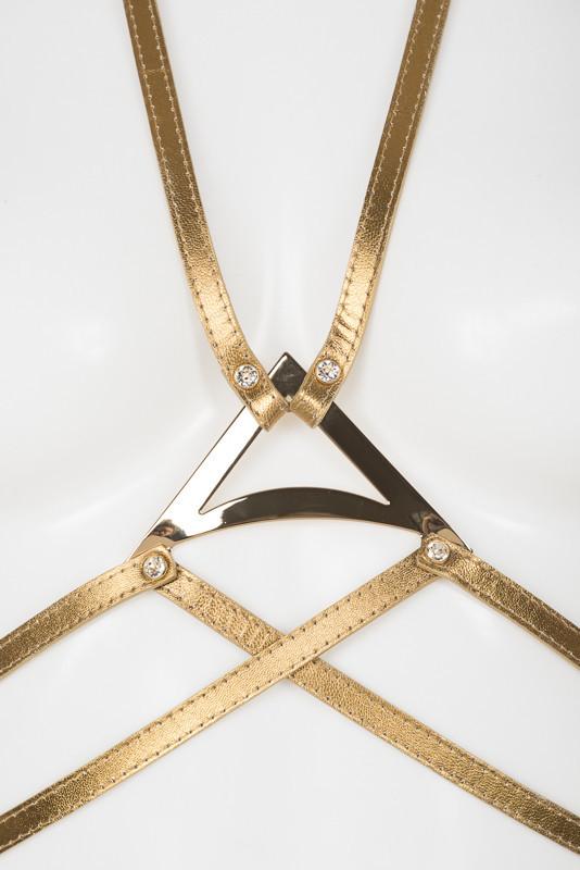 Gold Harness with Swarovski Crystals