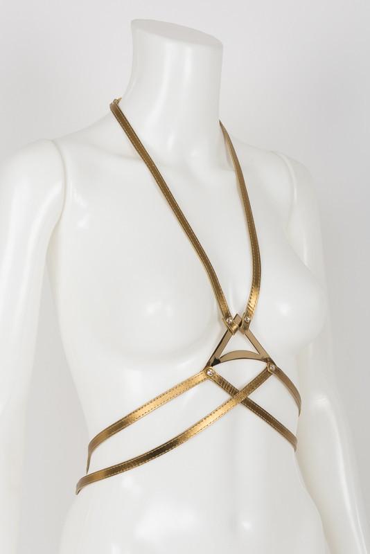 Gold Harness with Swarovski Crystals