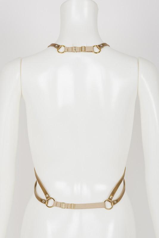 Gold Harness with Swarovski Crystals