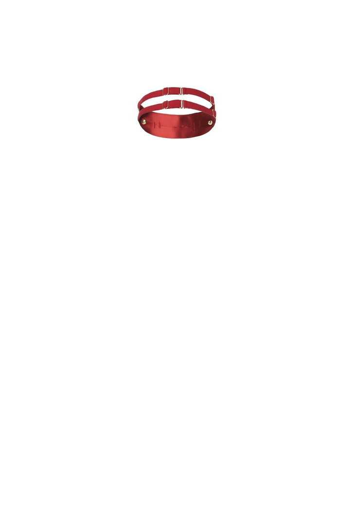 Red Satin Collar