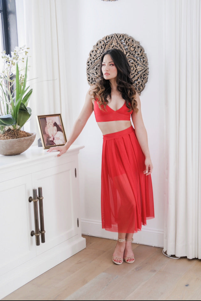 Mesh Skirt Red