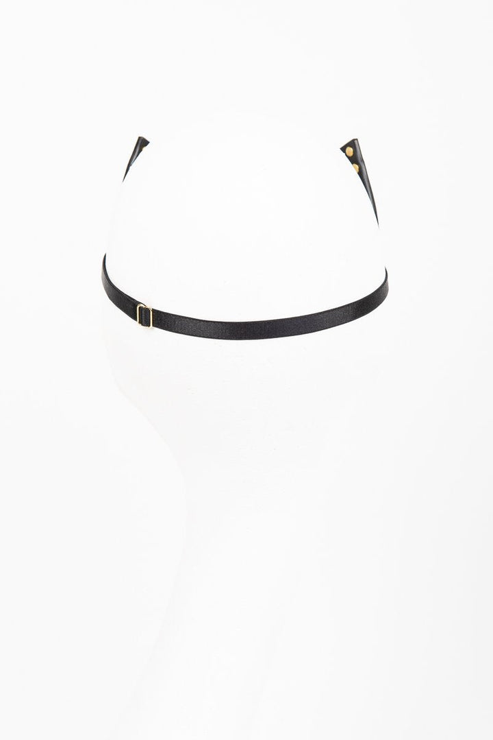 Black belt with gold buckle on a white background