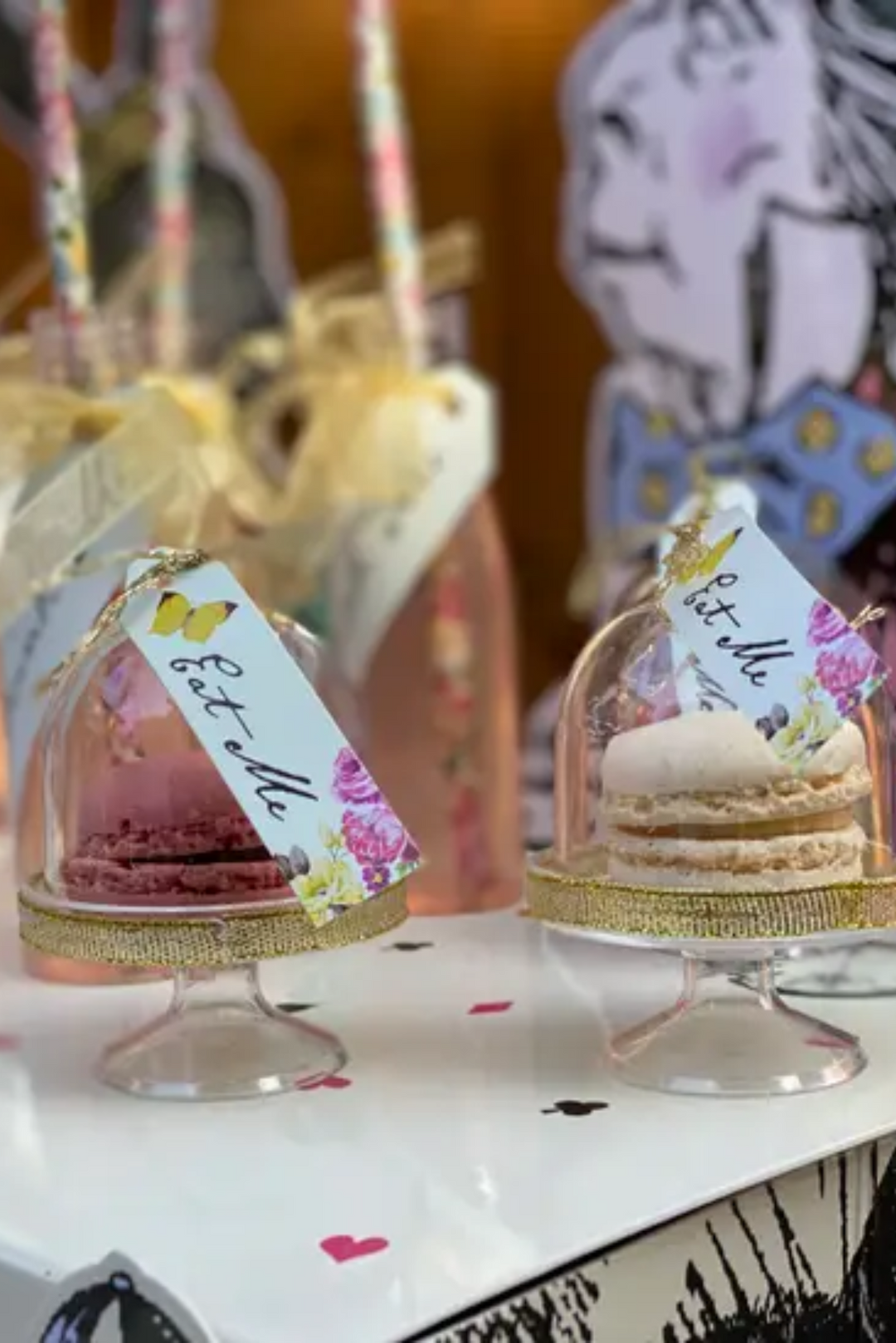 Alice in Wonderland Cake Domes - 6 Pack