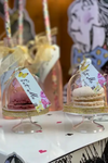 Alice in Wonderland Cake Domes - 6 Pack