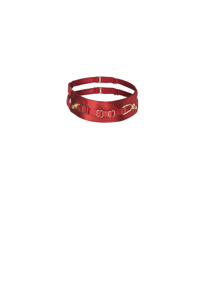 Red Satin Collar