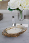 Oyster Shell Candle - Unscented