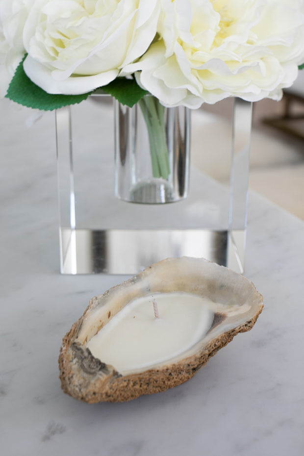 Oyster Shell Candle - Unscented