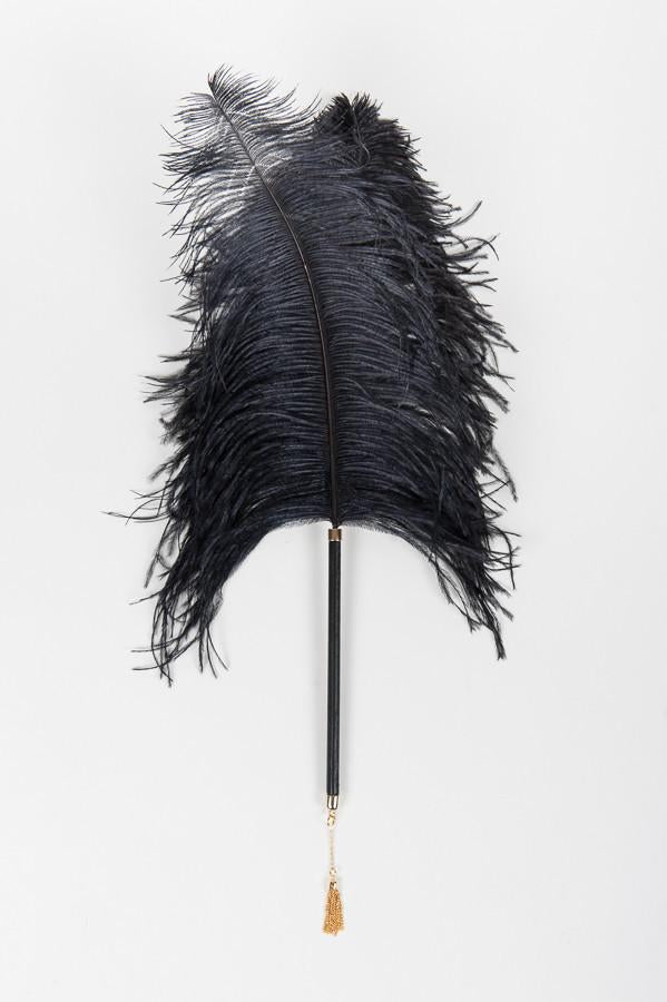 Black Ostrich Feather Teaser