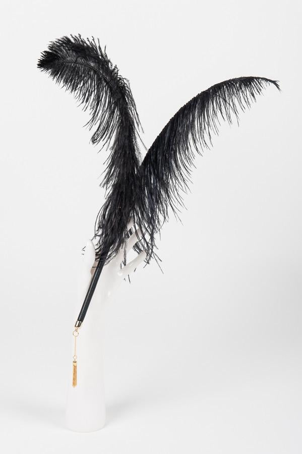 Black Ostrich Feather Teaser