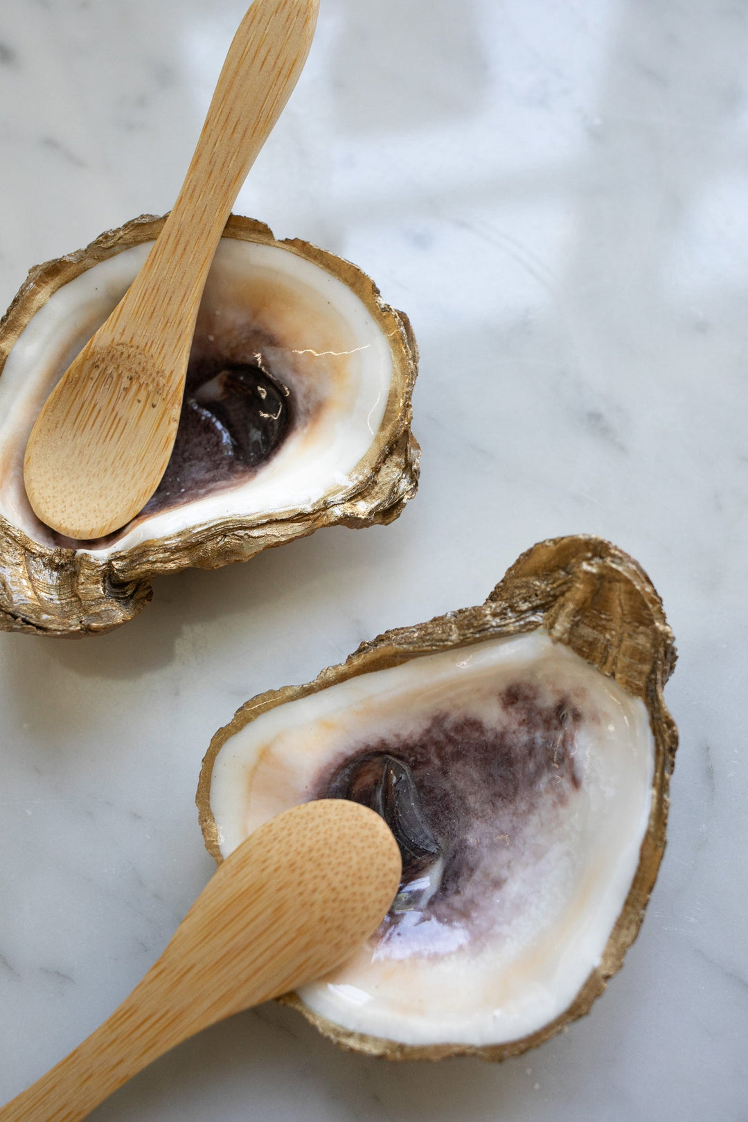 Shell Salt and Pepper Cellars