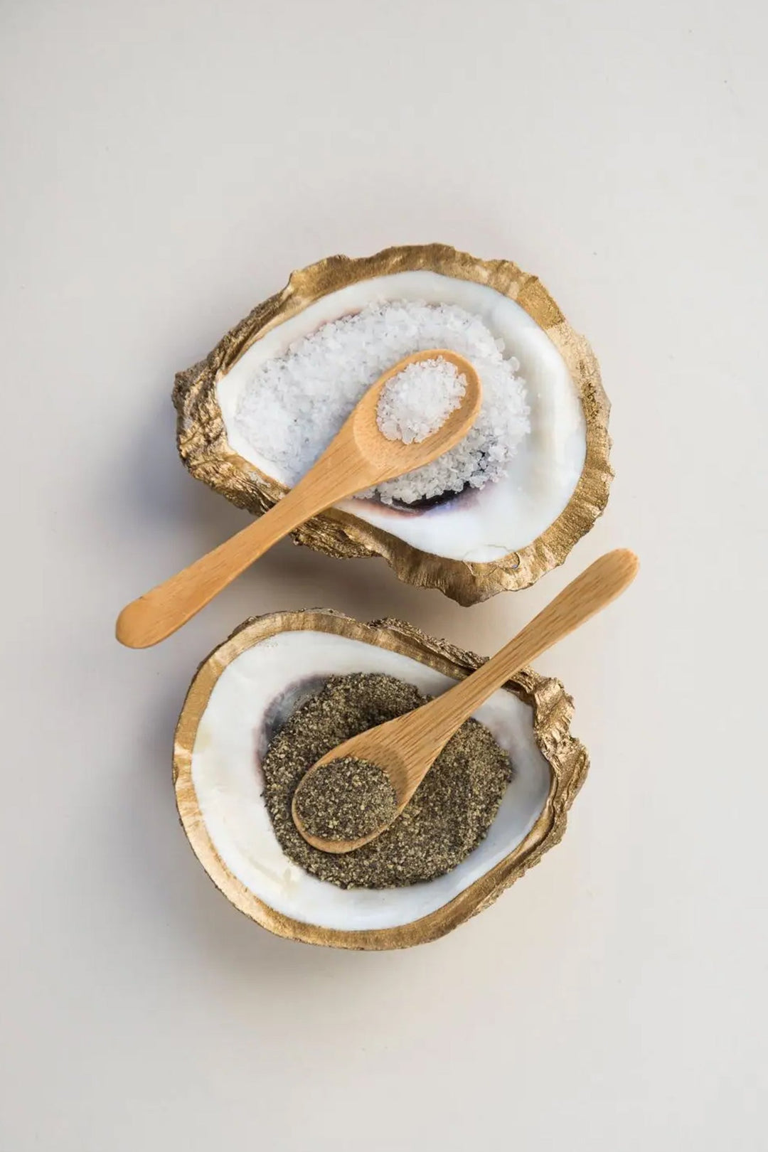 Shell Salt and Pepper Cellars